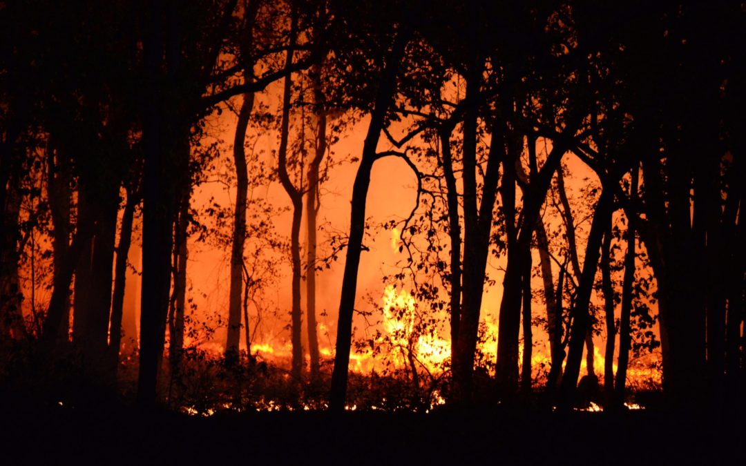 Feux de forêt : le plan de Macron pour améliorer la lutte contre les incendies
