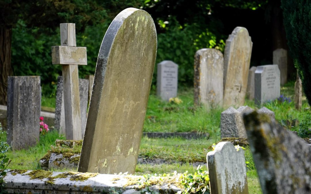 Les cimetières à l’heure de la transition écologique
