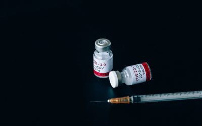 Covid-19 : entrée en vigueur du pass vaccinal, levée progressive des restrictions, protocole sanitaire à l'école… Ce qu'il faut retenir des annonces du gouvernement